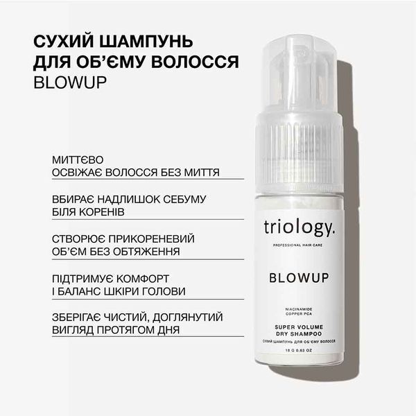 Сухий шампунь для об'єму волосся BLOWUP triology, 18 g 2358 фото