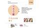 TopFace - BB крем "Skin Editor - BB Matte Finish Beauty Balm" PT462 [003 - Beige] (30 мл) 35000 фото 5
