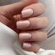 Рідкий гель PolyLiquid Gel JOIA vegan, 06 Pink Lace, 15 мл / PolyLiquid gel JOIA vegan, 06 Pink Lace, 15 ml 10806 фото 2